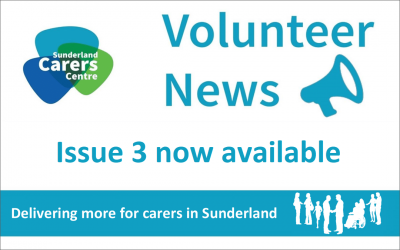 Volunteer Newsletter – Issue 3